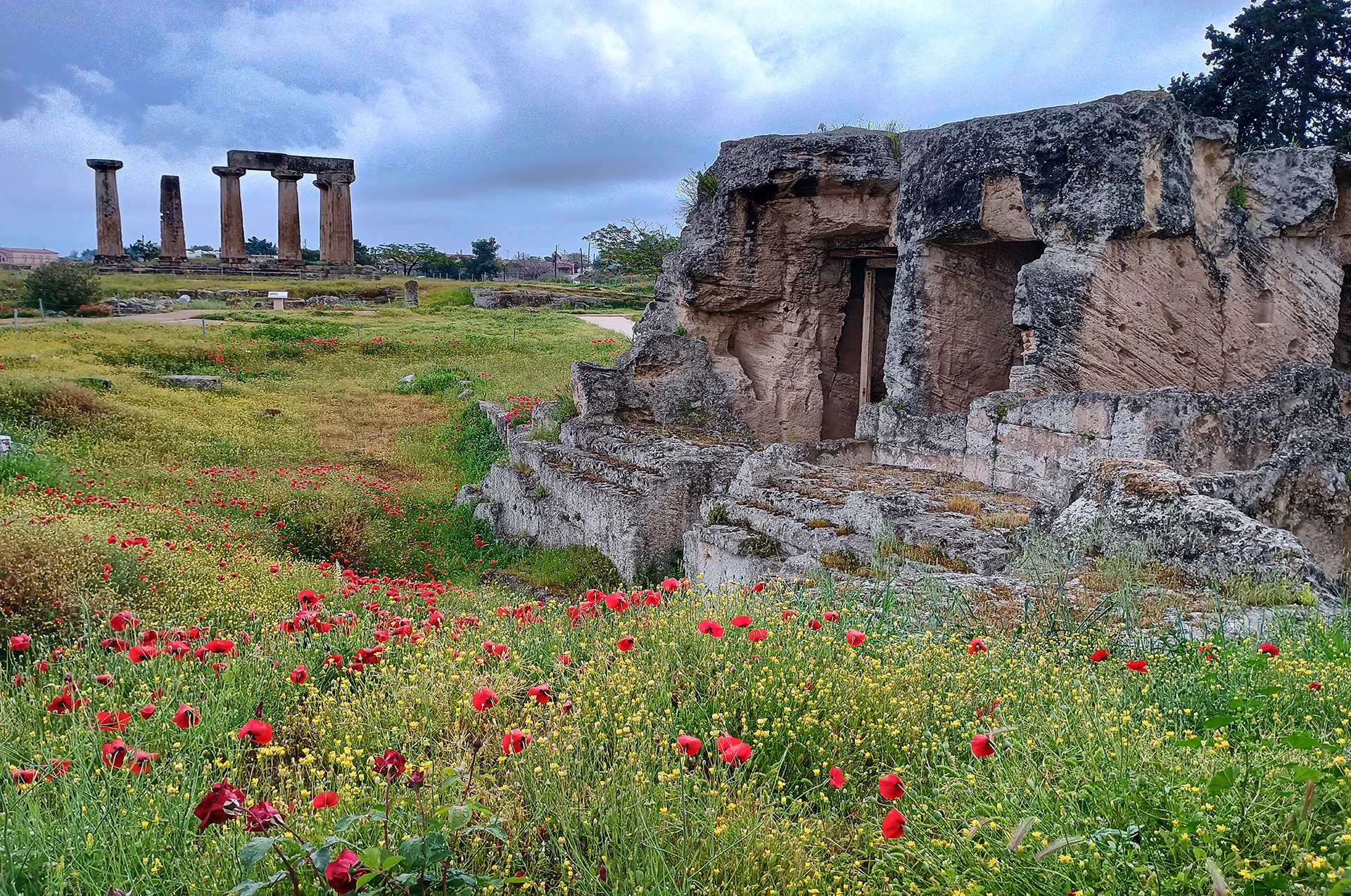 Panoramic view of Temple of Apollo and surrounding ruins.
