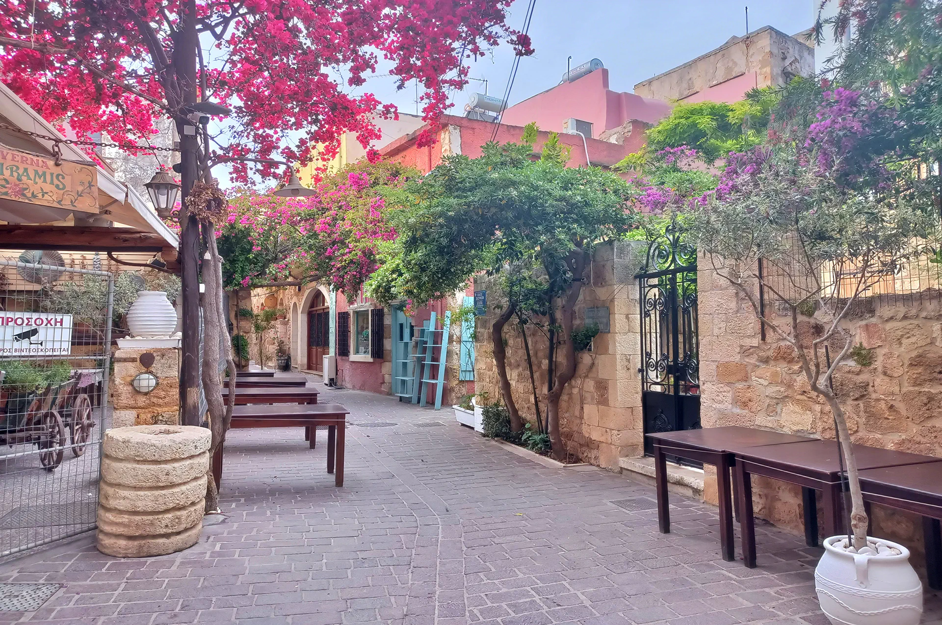 Chania streets adorned with vibrant bougainvillea flowers.