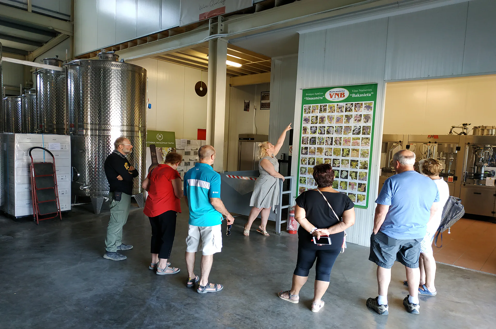 Winemaker explaining the wine process during a tour.
