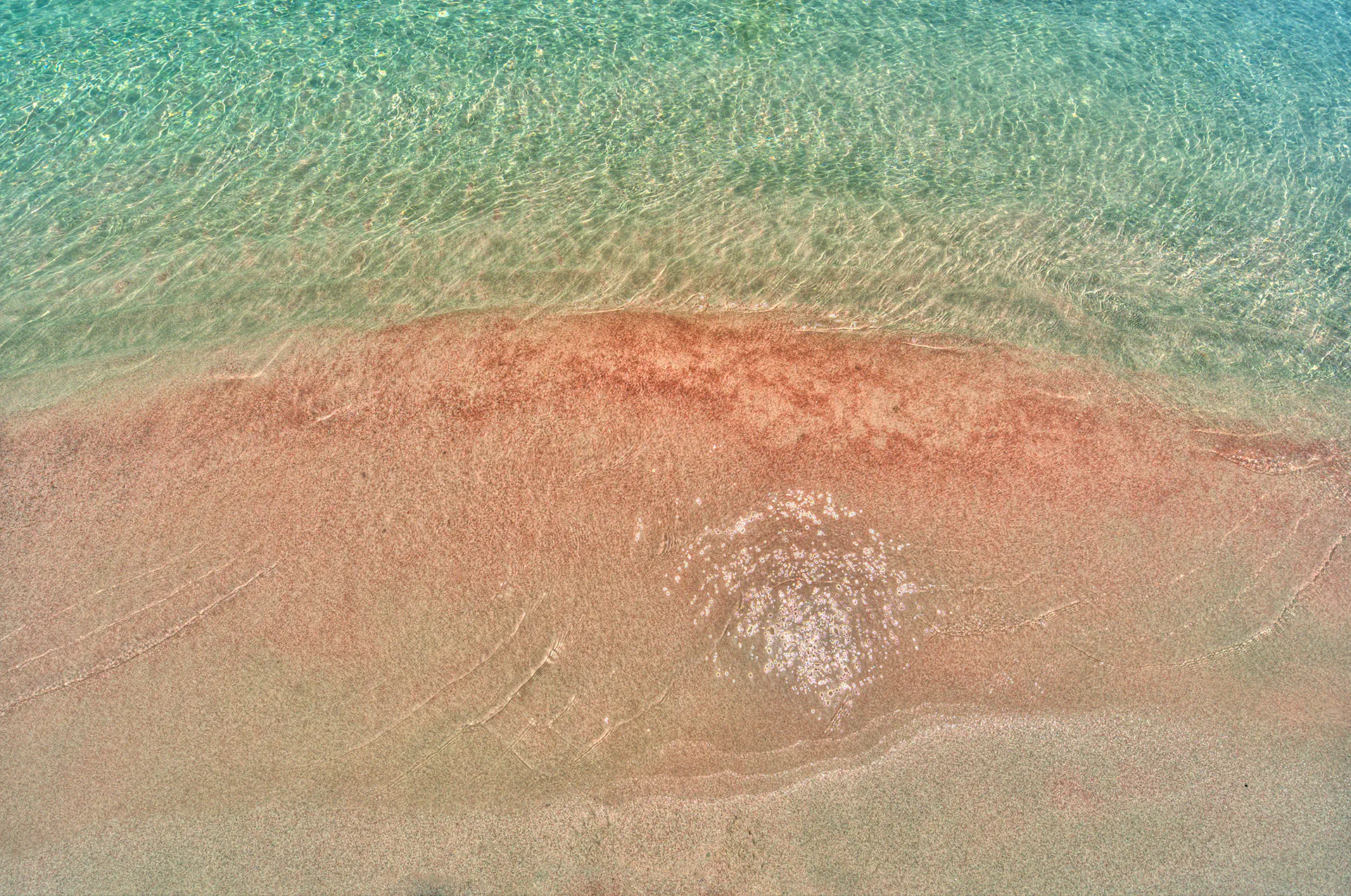 Close-up of pink sand grains on Elafonissi shore.