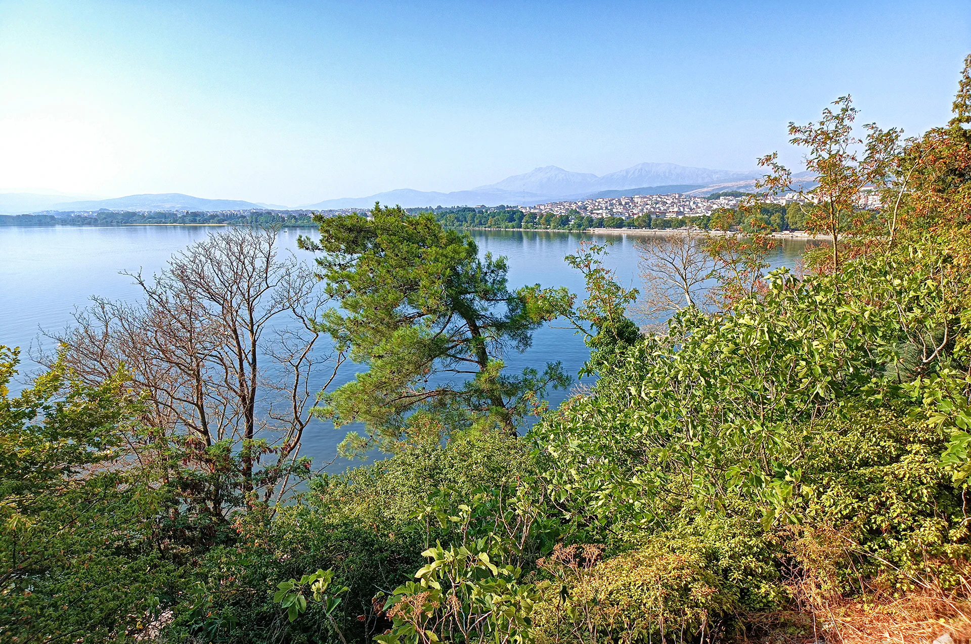 Calm waters of Lake Pamvotida with trees along the shore