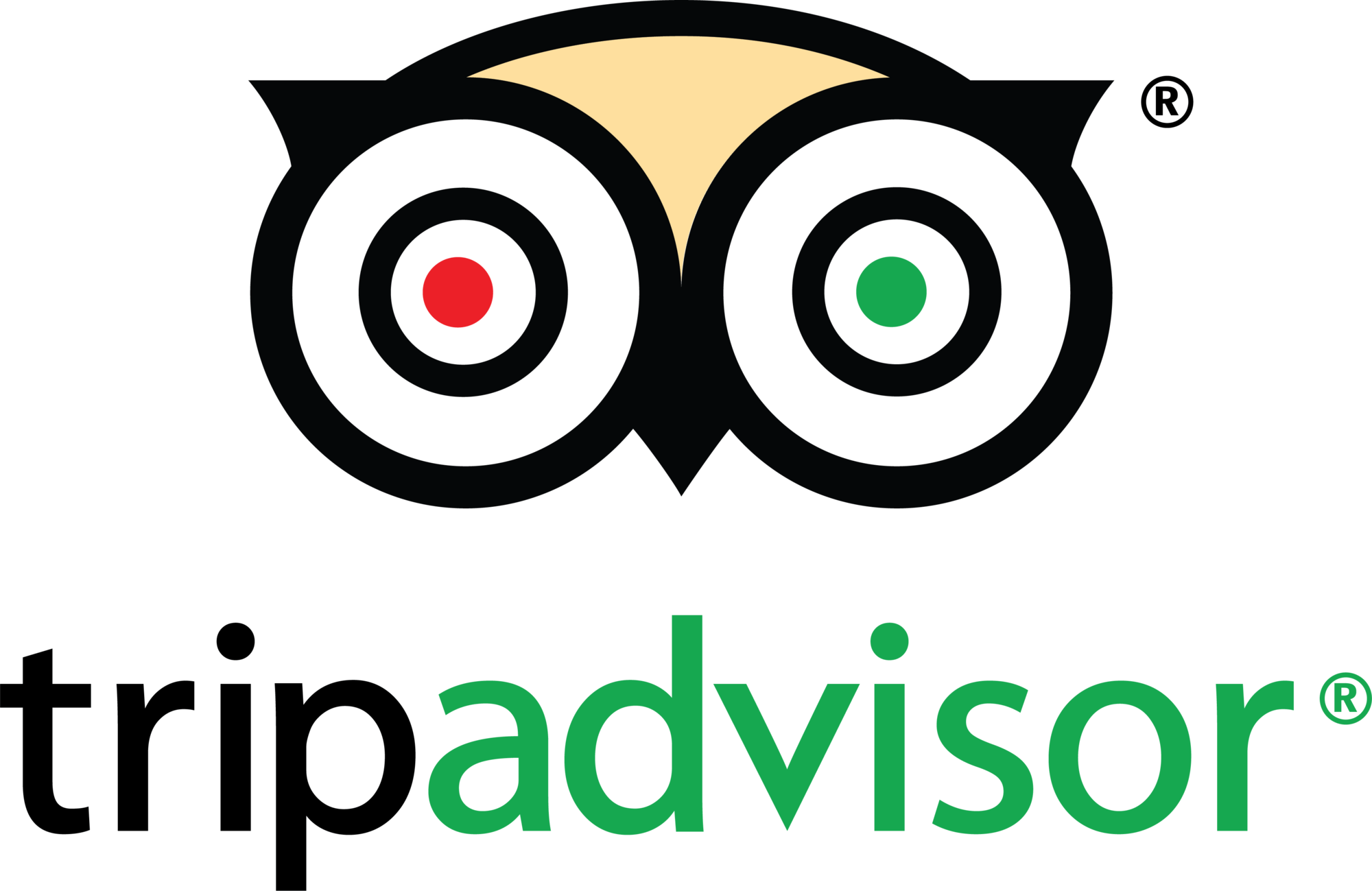 Trip Advisor Reviews
